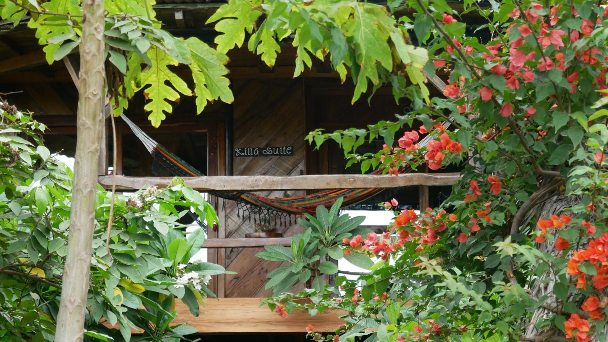 Vistamar Guest House Ayampe Eksteriør billede